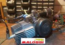 Puch Maxi 4 gelagerd 60cc Malossi motor