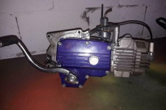 Z50 ''Purple Driver'' Plug and Play